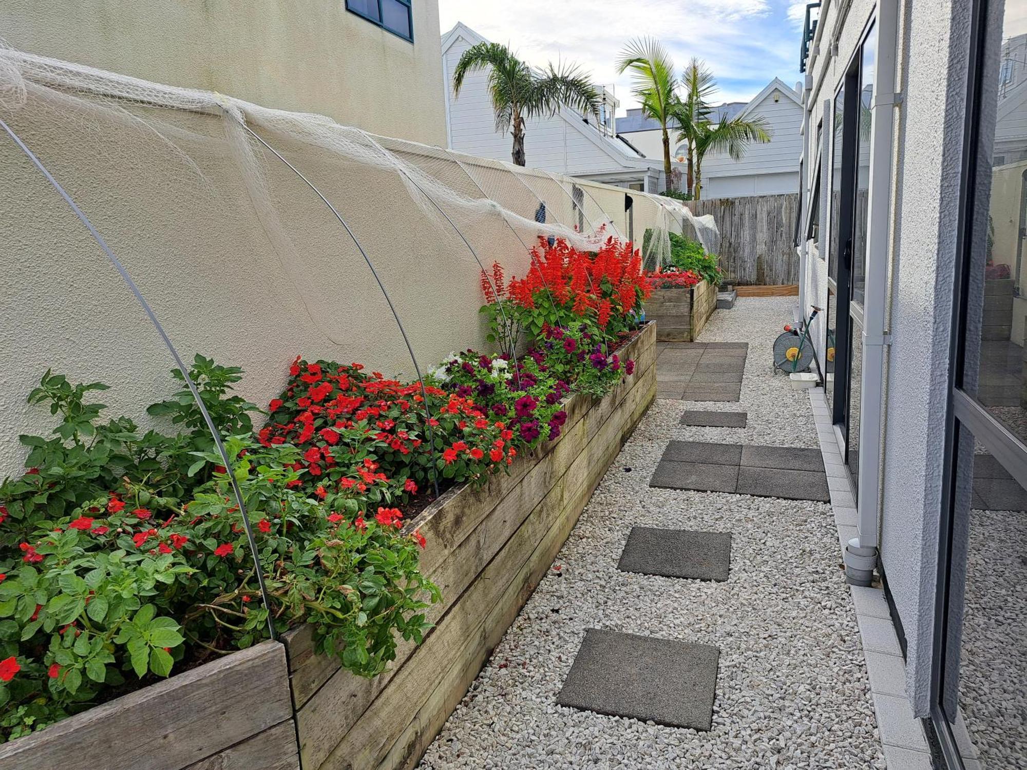 Sunbrae Beach Sanctuary Free High Fibre Wifi Mount Maunganui Exterior foto